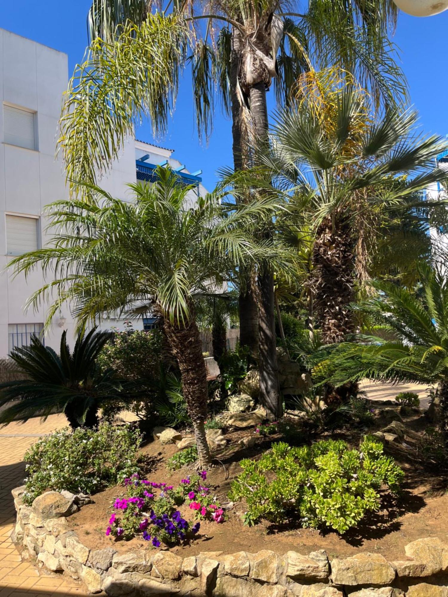 Apartamento En Costa Ballena, Urb. Playa Ballena Кадіс Екстер'єр фото